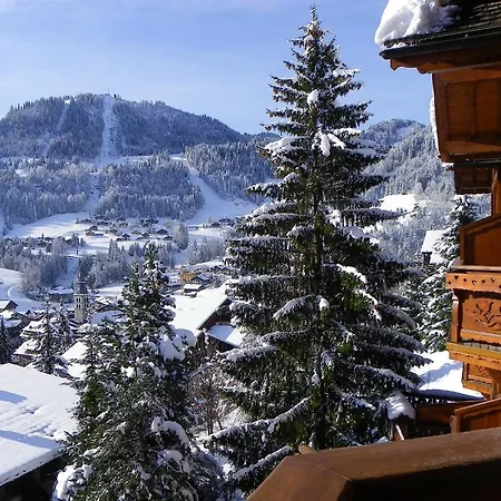 Carlina Otel 3*